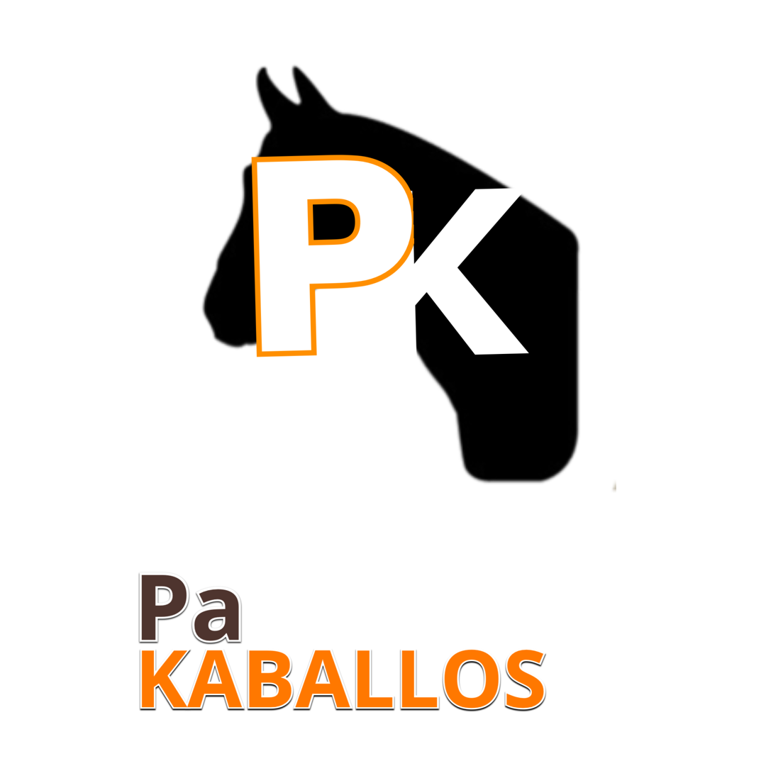 Traslado de caballos desde miami