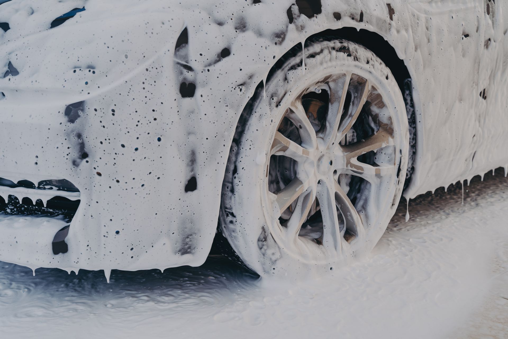 Gros plan d'une roue de voiture recouverte de mousse.