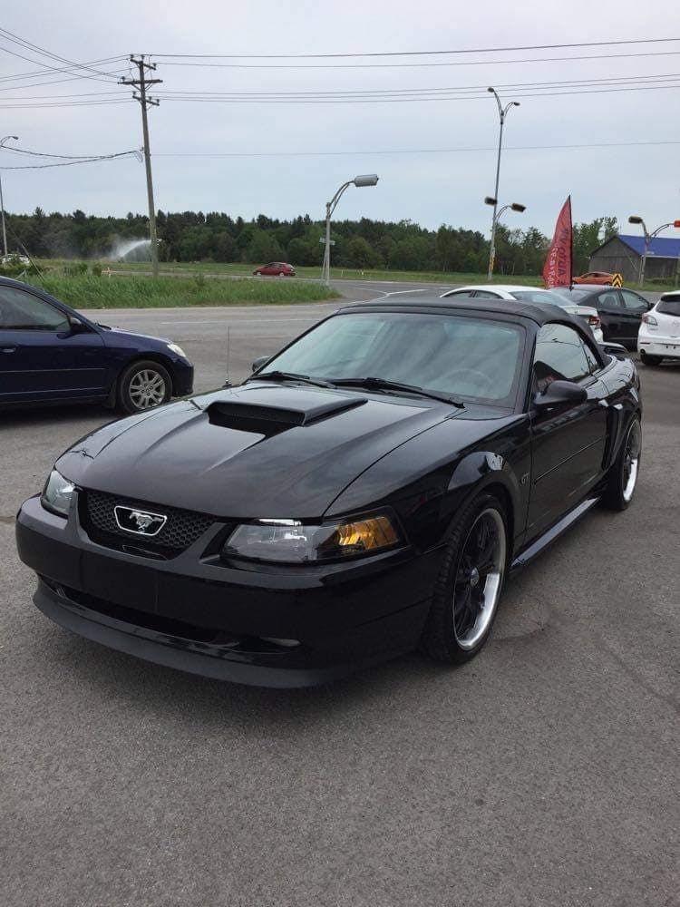 A black mustang convertible is parked in a parking lot.