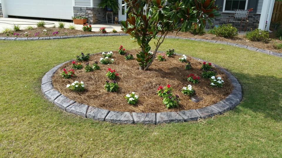 A circular garden bed featuring a tree, small flowering plants, and mulch, edged with grey stone pavers in a residential lawn.