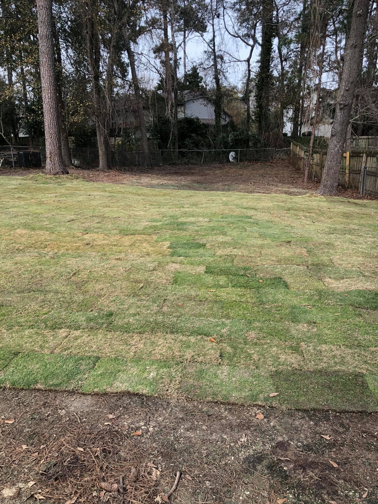 A backyard lawn featuring a patch of newly laid sod in the center against a backdrop of trees and a house.