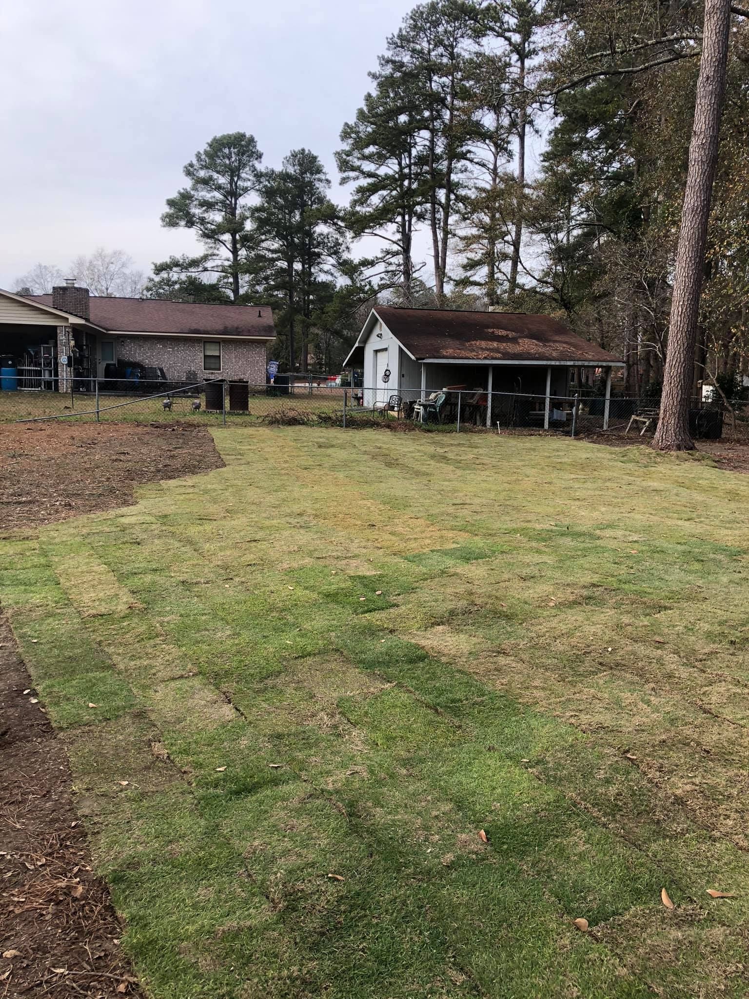 A grassy yard in winter with a small shed and a house in the background beneath a cloudy sky.