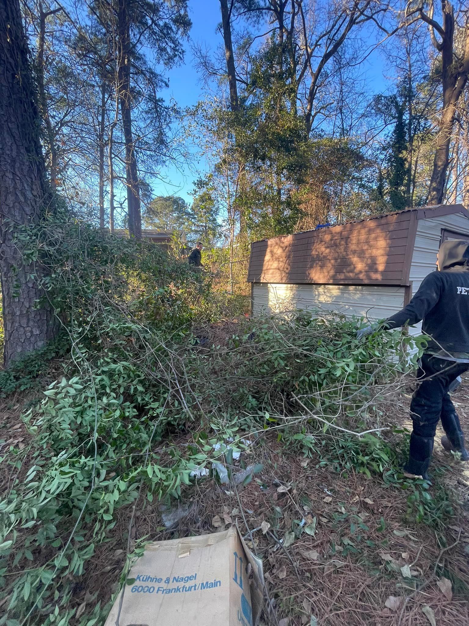 A person in dark work clothes clears brush and foliage next to a wooden shed in a wooded area.