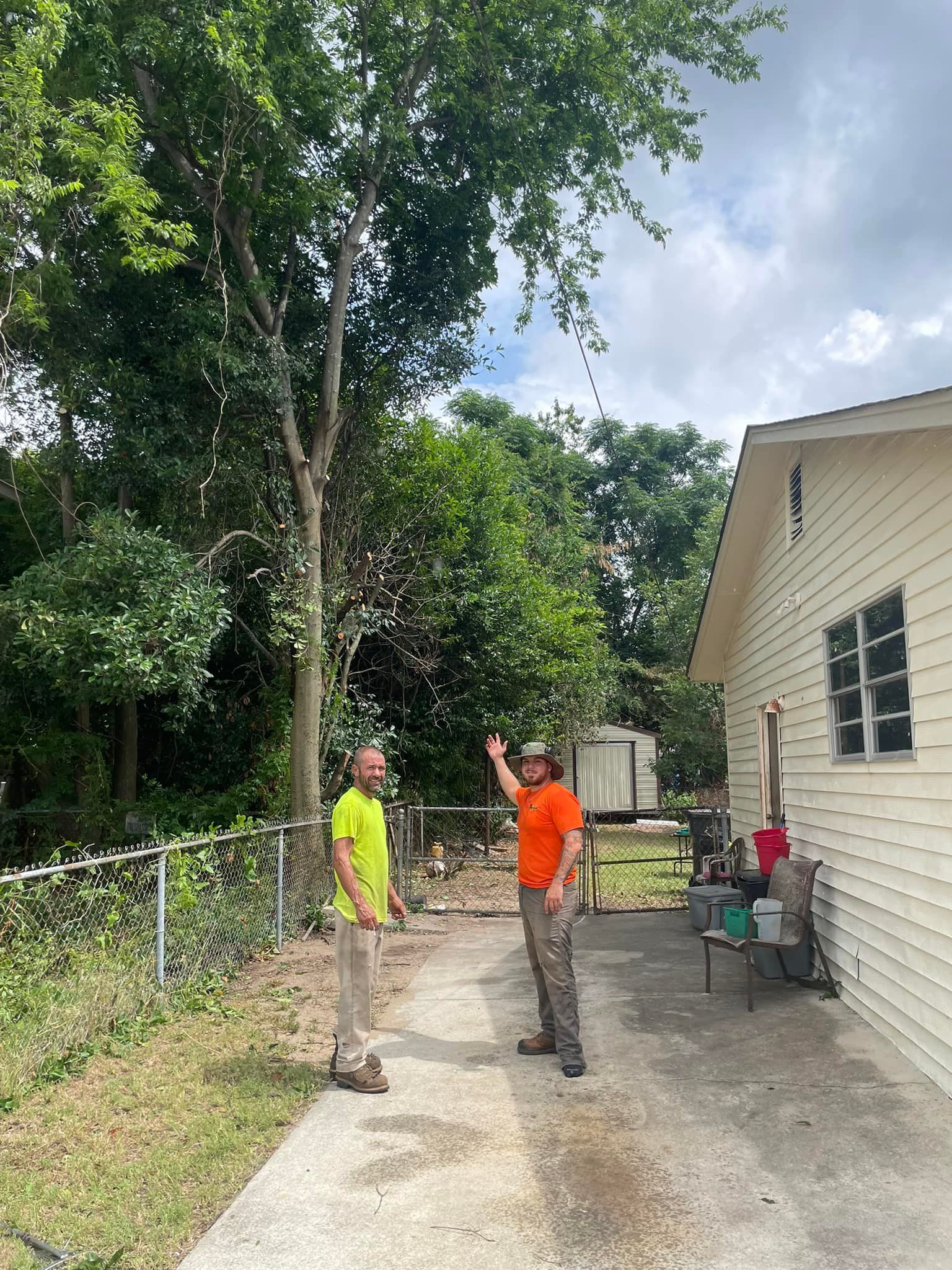 Two people stand on a residential driveway near a chain-link fence, one pointing up at a tall tree near a house.