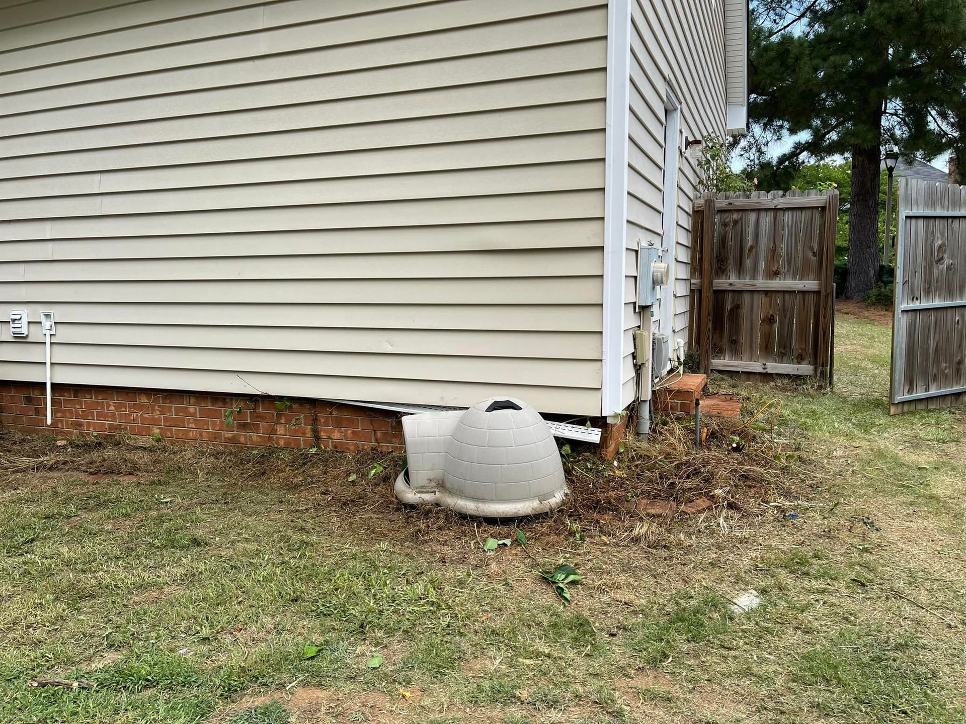 A plastic igloo-style dog house sits on the dirt at the corner of a house with beige vinyl siding and a brick foundation.