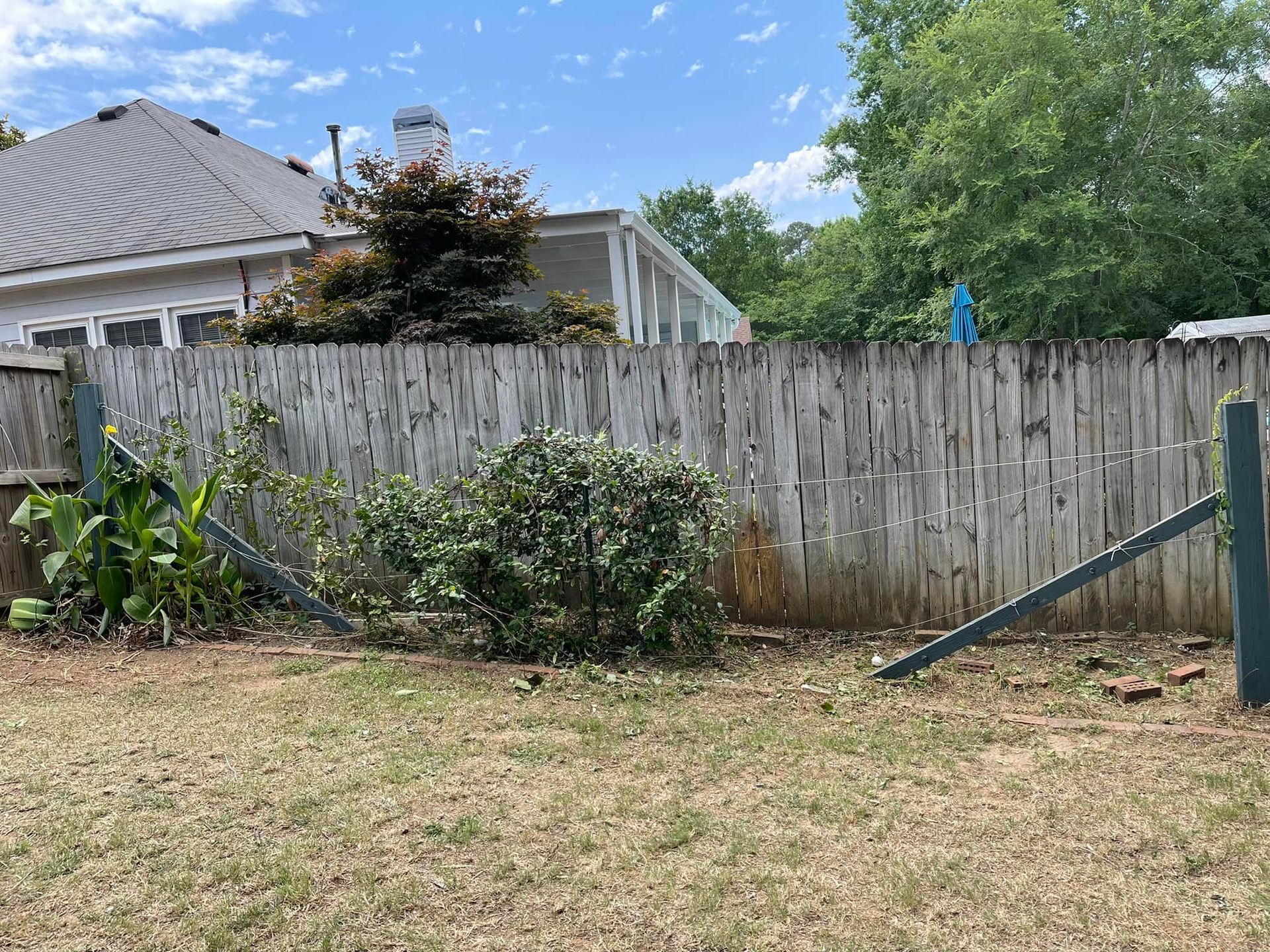 A weathered wooden backyard fence with slanted support beams, surrounded by bushes and a grassy lawn under a blue sky.