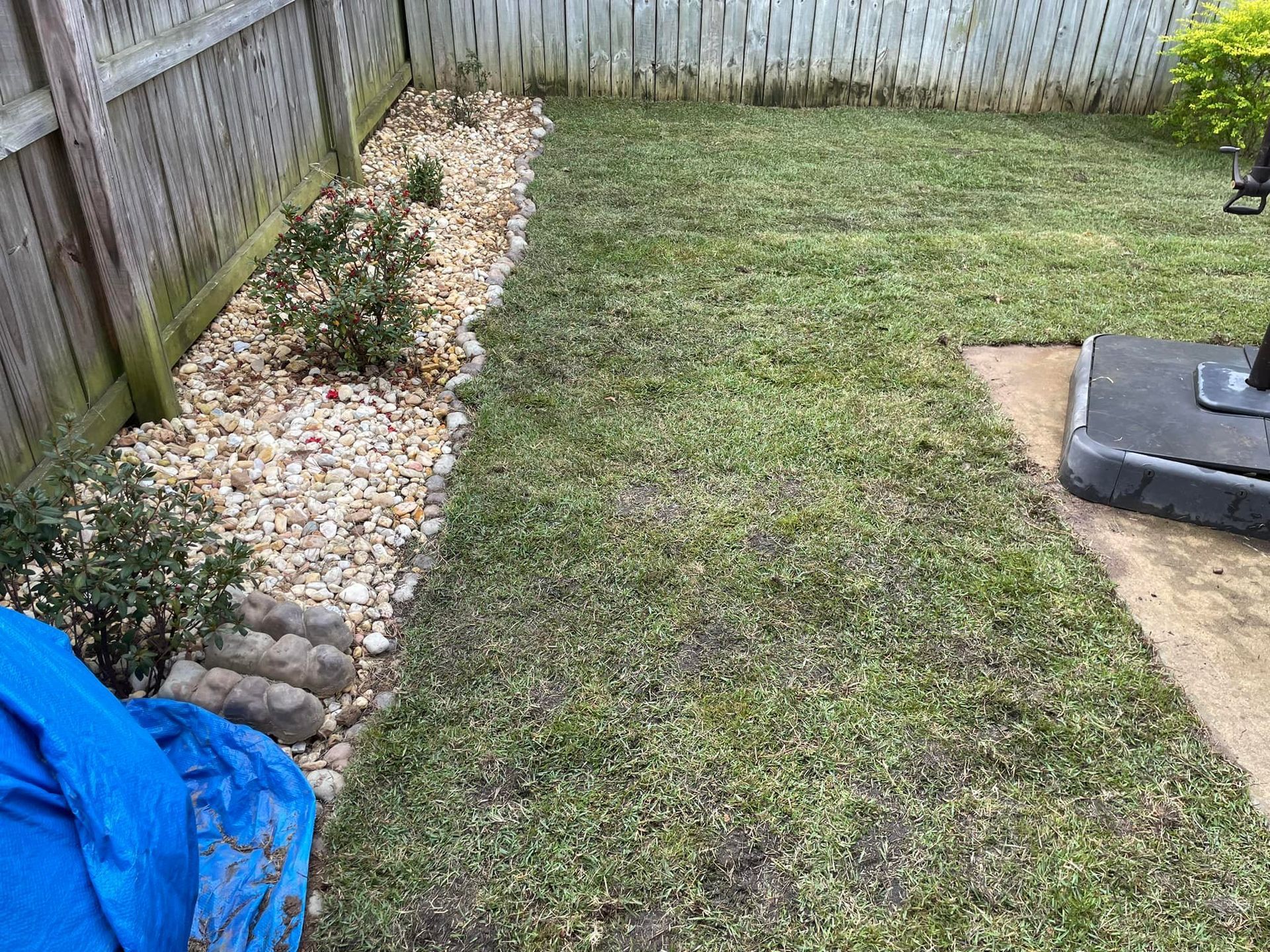 A backyard lawn bordering a gravel garden bed alongside a wooden fence, with a patio area and blue cover in the foreground.