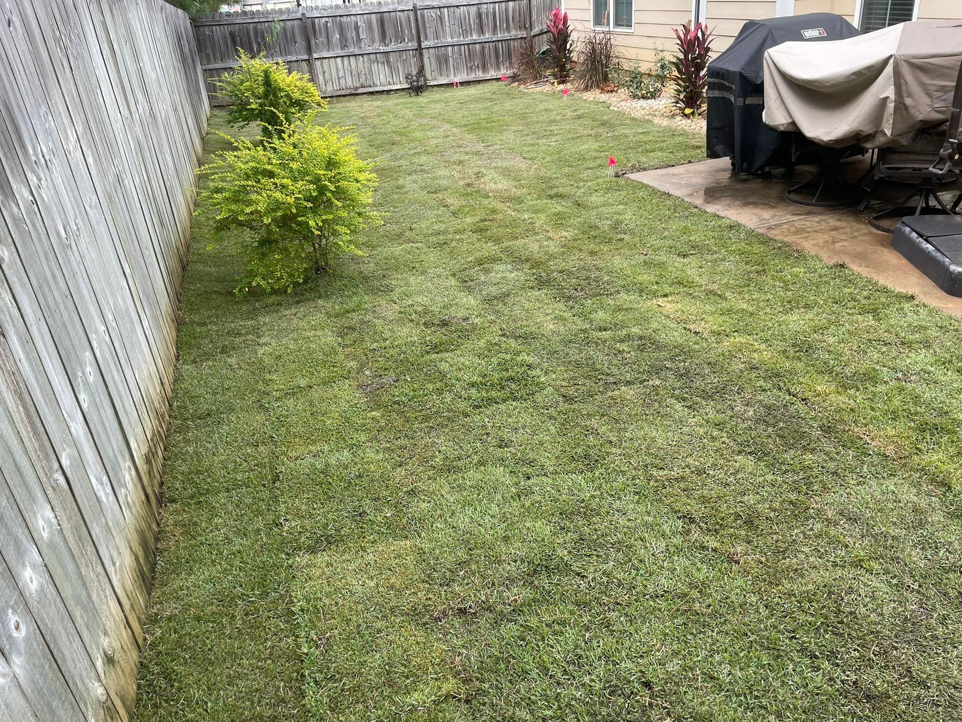 A grassy backyard with a tall wooden fence on the left and a patio area with covered furniture on the right.