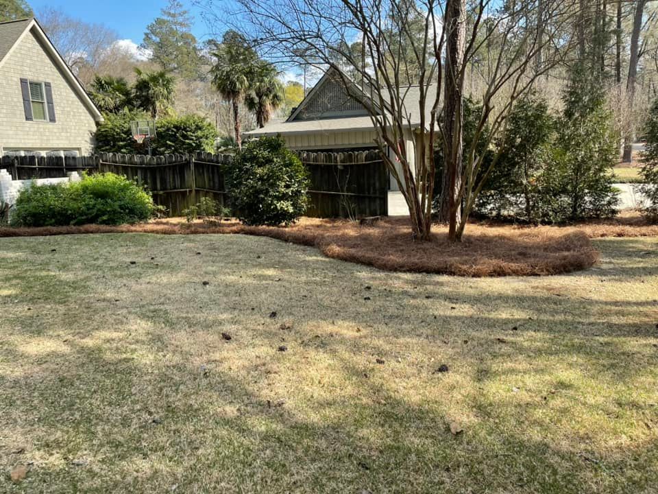 A suburban lawn with pine needles, a landscaped bed with shrubs, a dark wooden fence, and houses on a sunny day.