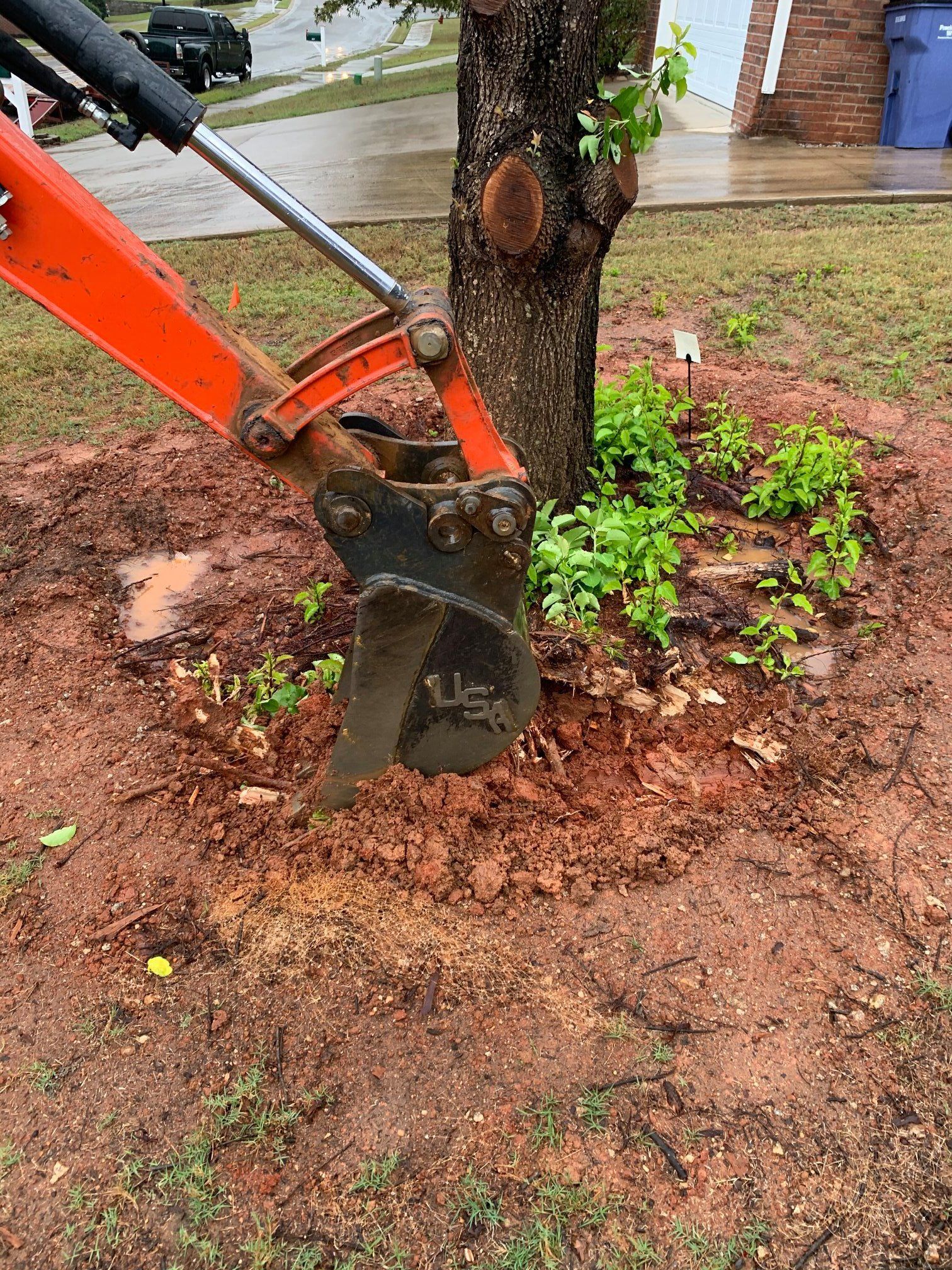 An orange excavator bucket digs into the red soil near the base of a tree in a residential yard.