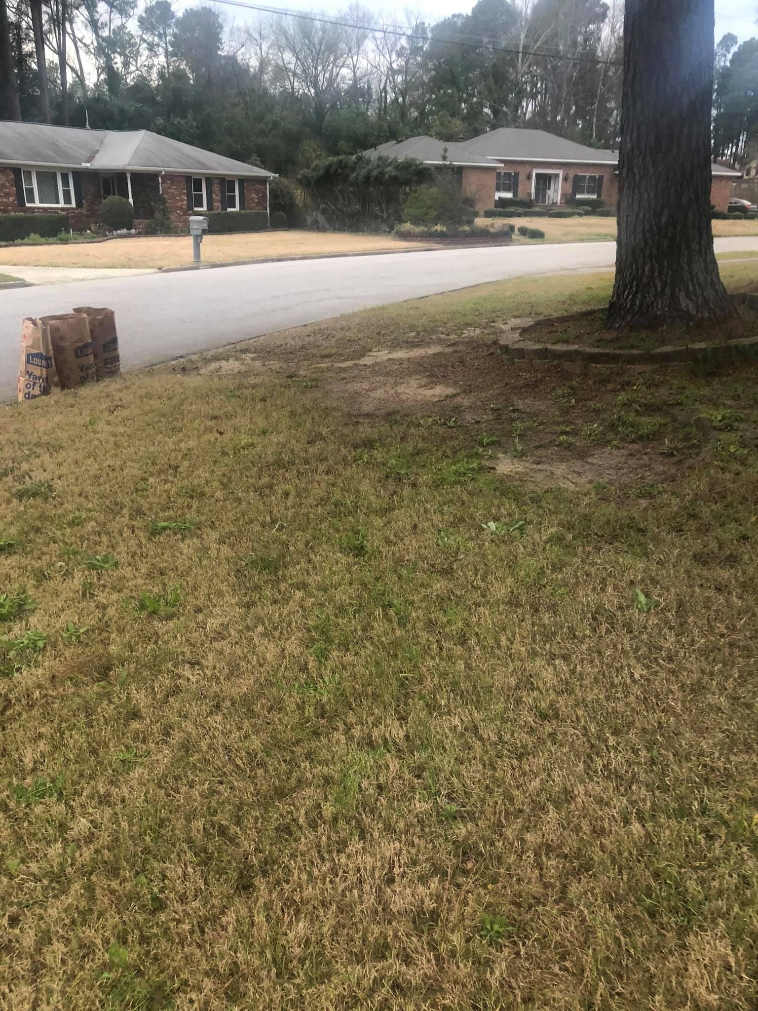 A grassy front yard looking across a quiet suburban street toward two single-story brick houses under a cloudy sky.