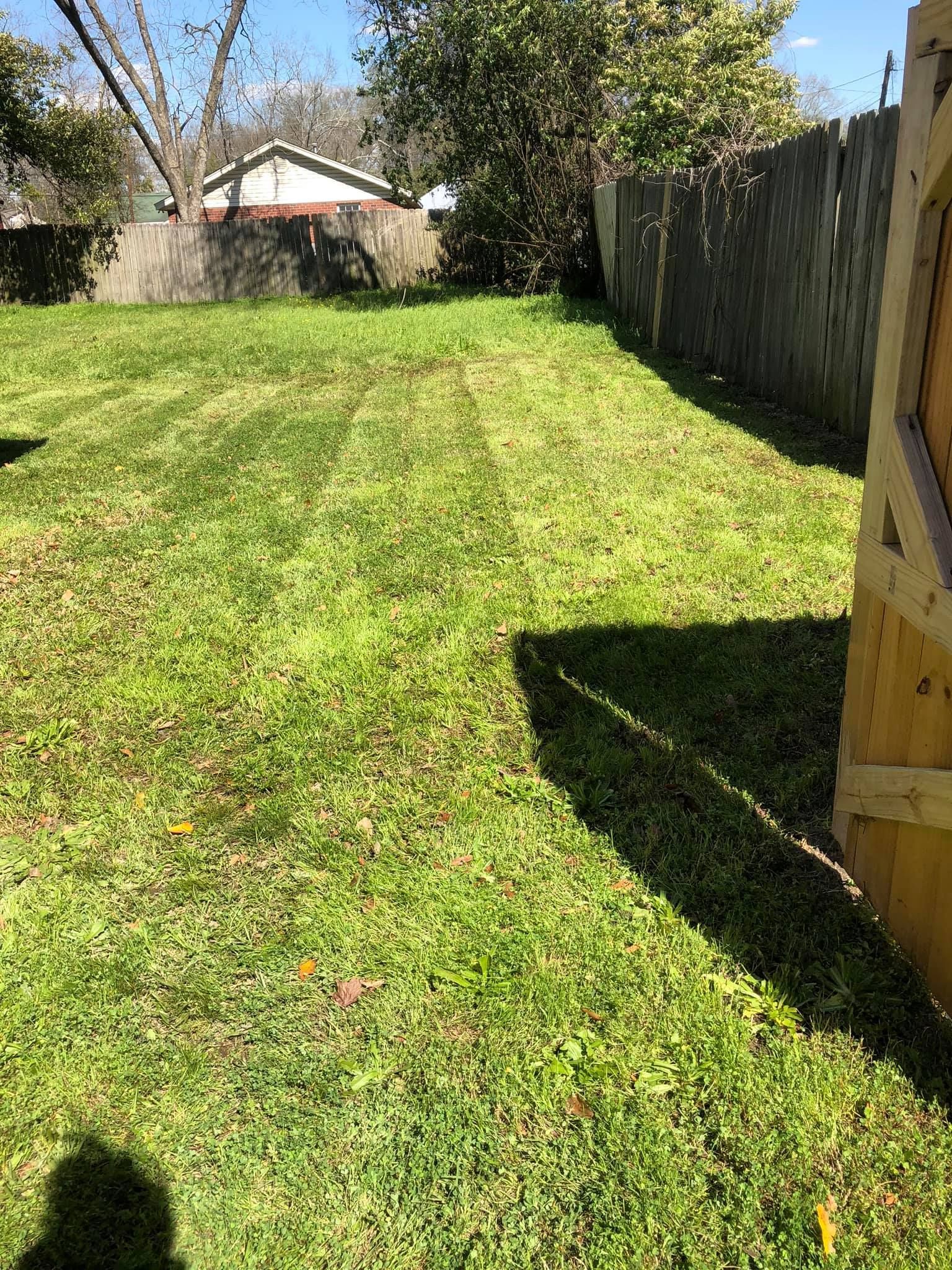 A sunny, mowed backyard features a patch of green grass, a wooden fence on the right, and a house in the distance.