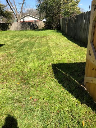 A sunny, mowed backyard features a patch of green grass, a wooden fence on the right, and a house in the distance.