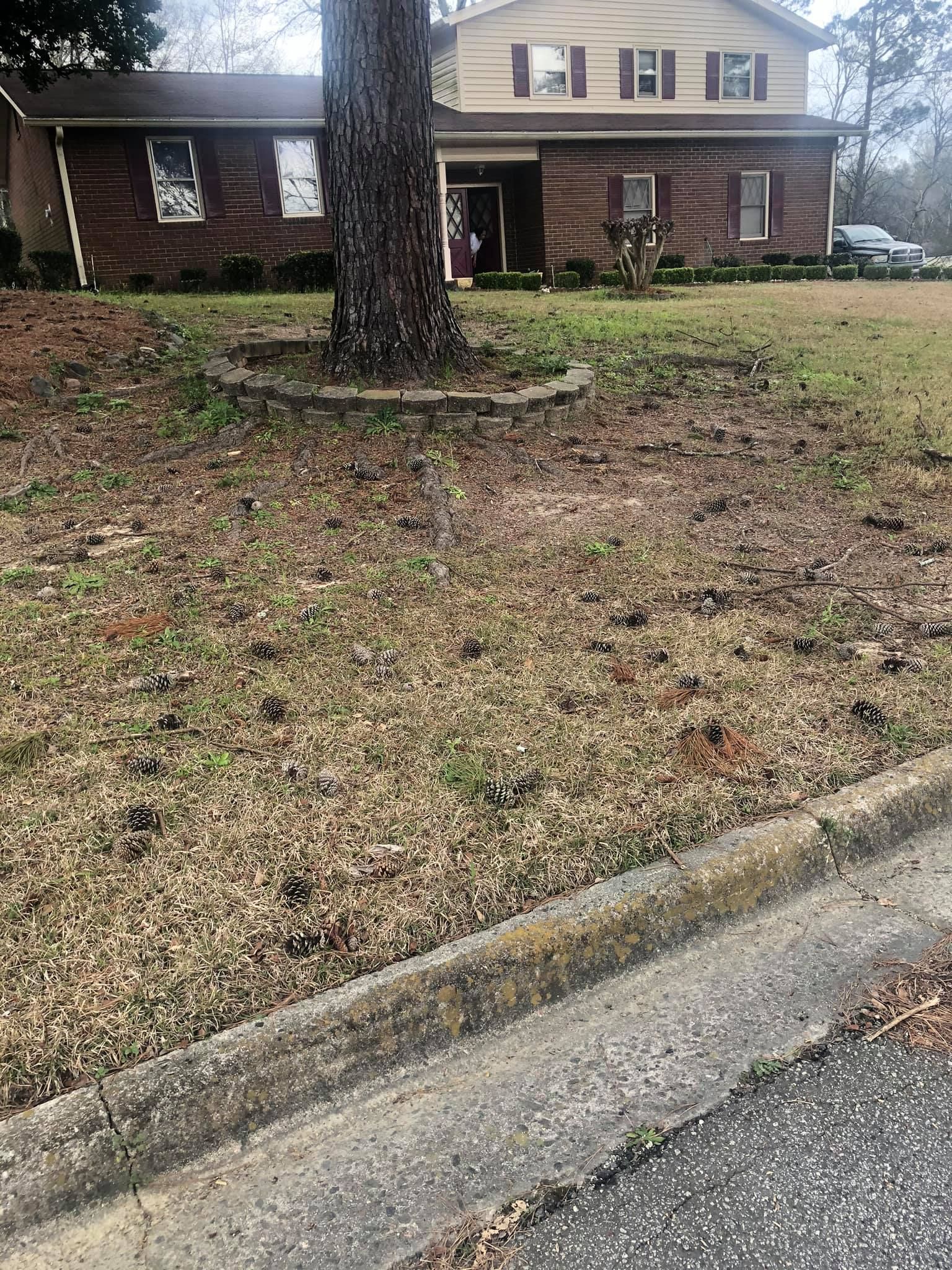 A two-story brick and siding house with a large tree in the center of the front lawn and a concrete curb in the foreground.