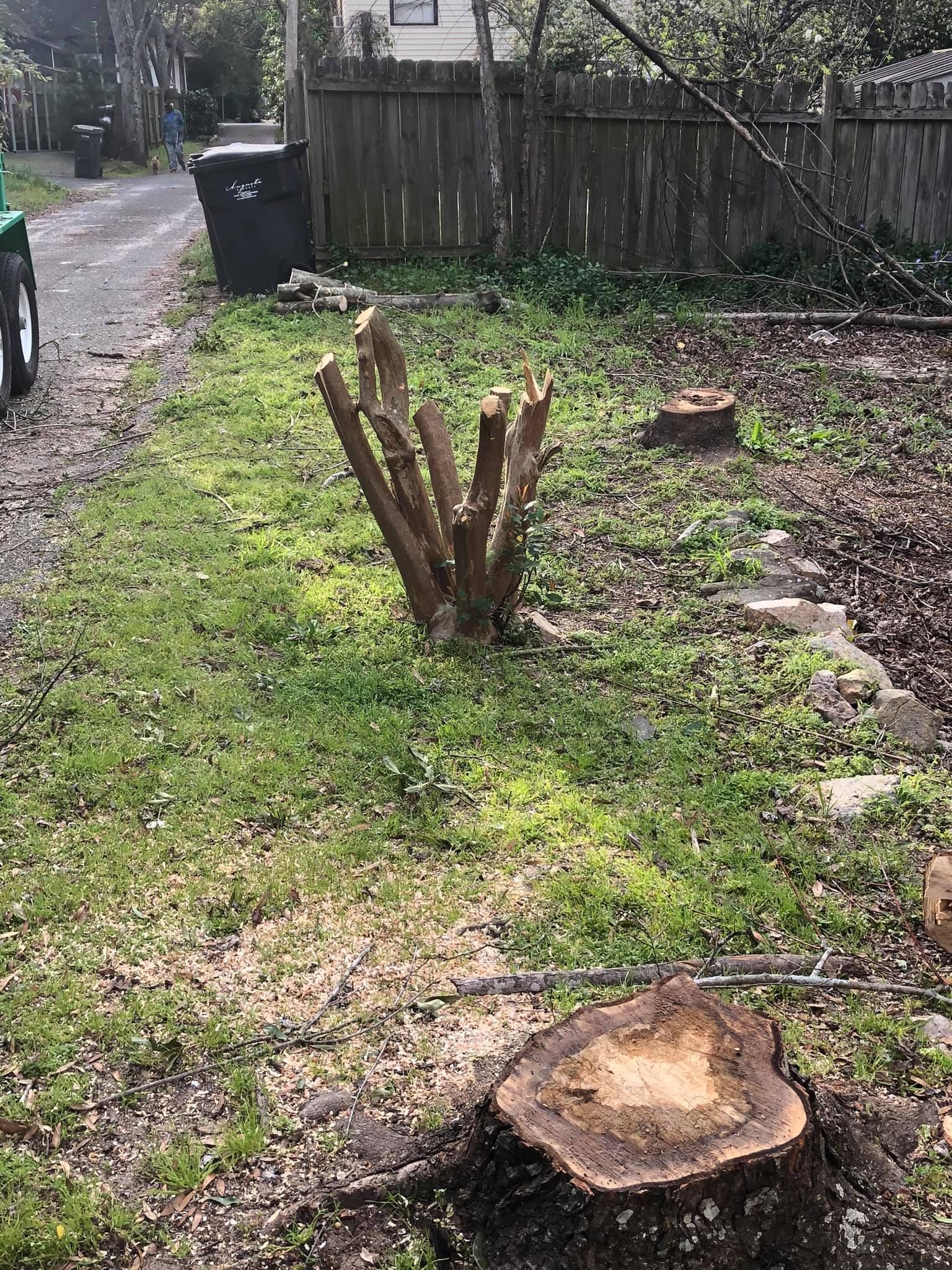 A residential yard features a freshly cut tree stump in the foreground and a multi-stemmed shrub pruned back to its base.