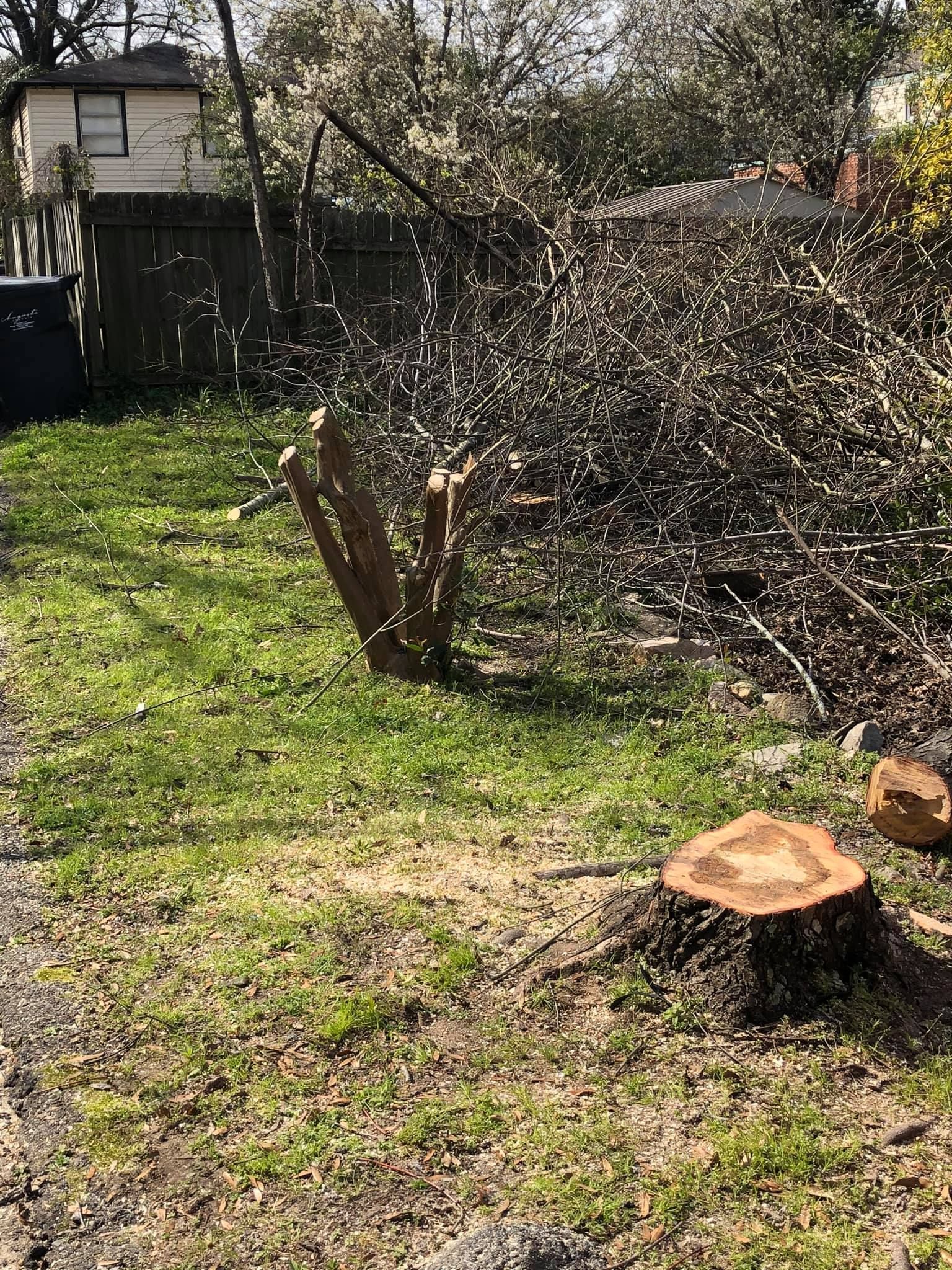 A yard with a freshly cut tree stump in the foreground and a pile of pruned branches near a backyard wooden fence.