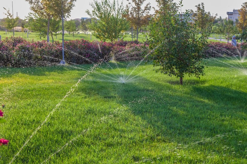 Sprinklers spray water across a vibrant green lawn in a park on a sunny day.