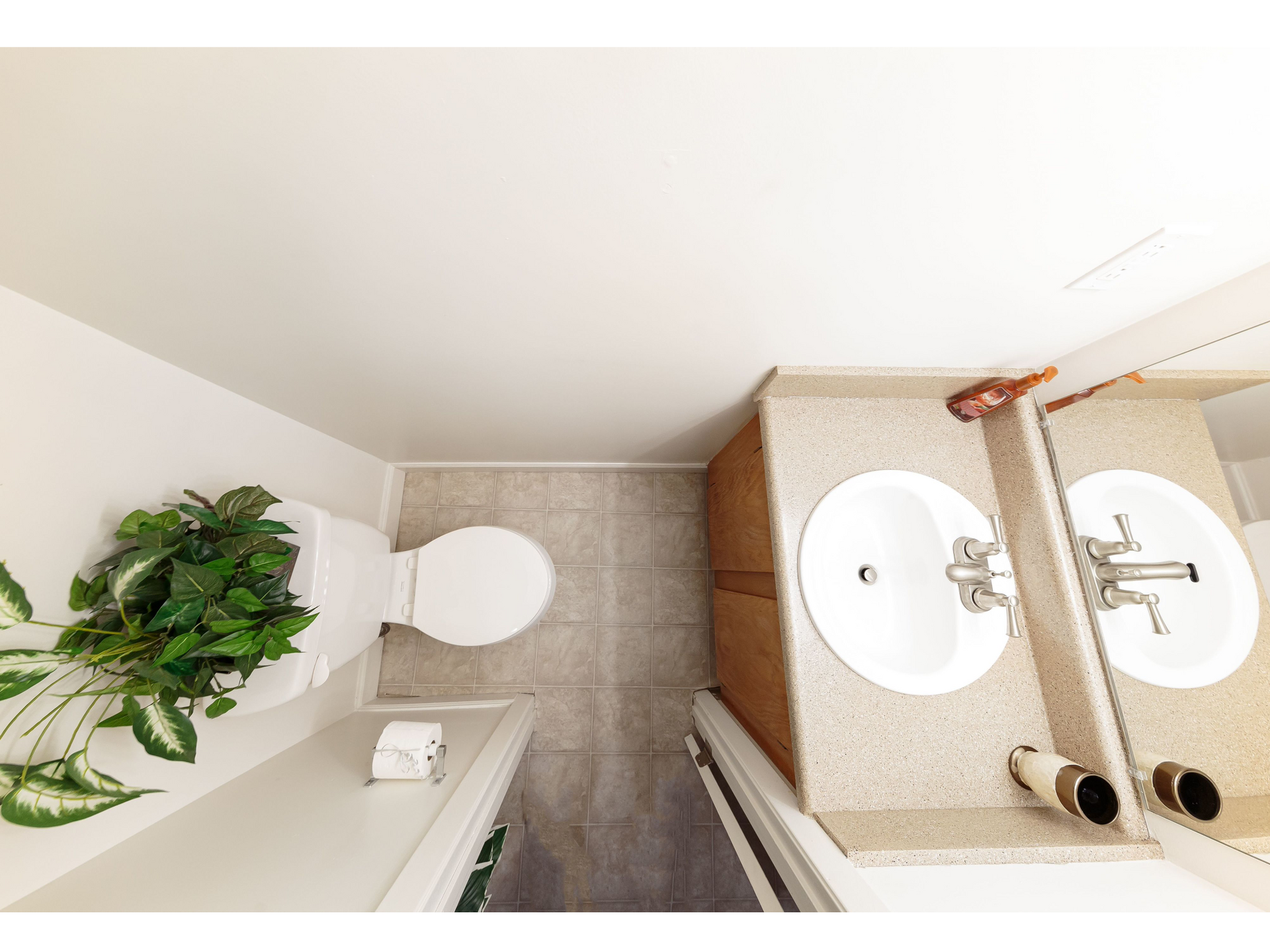 Small bathroom with toilet, sink, beige tile, and a green potted plant.