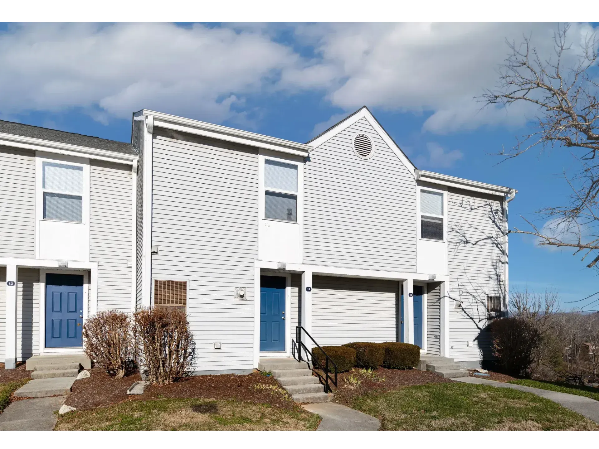 White townhouse row with blue front door, small shrubs, and cloudy sky