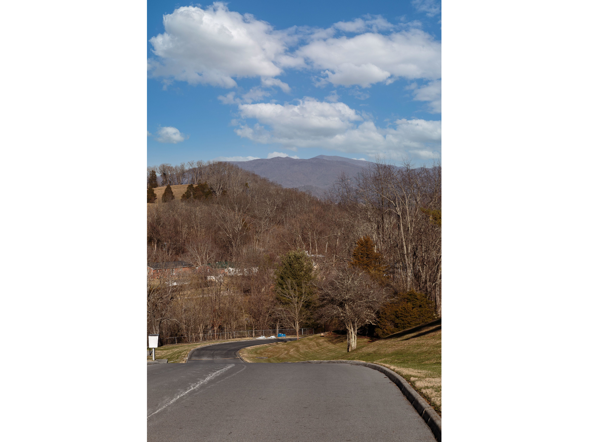 Road curving through leafless trees toward distant mountains under a blue sky with clouds