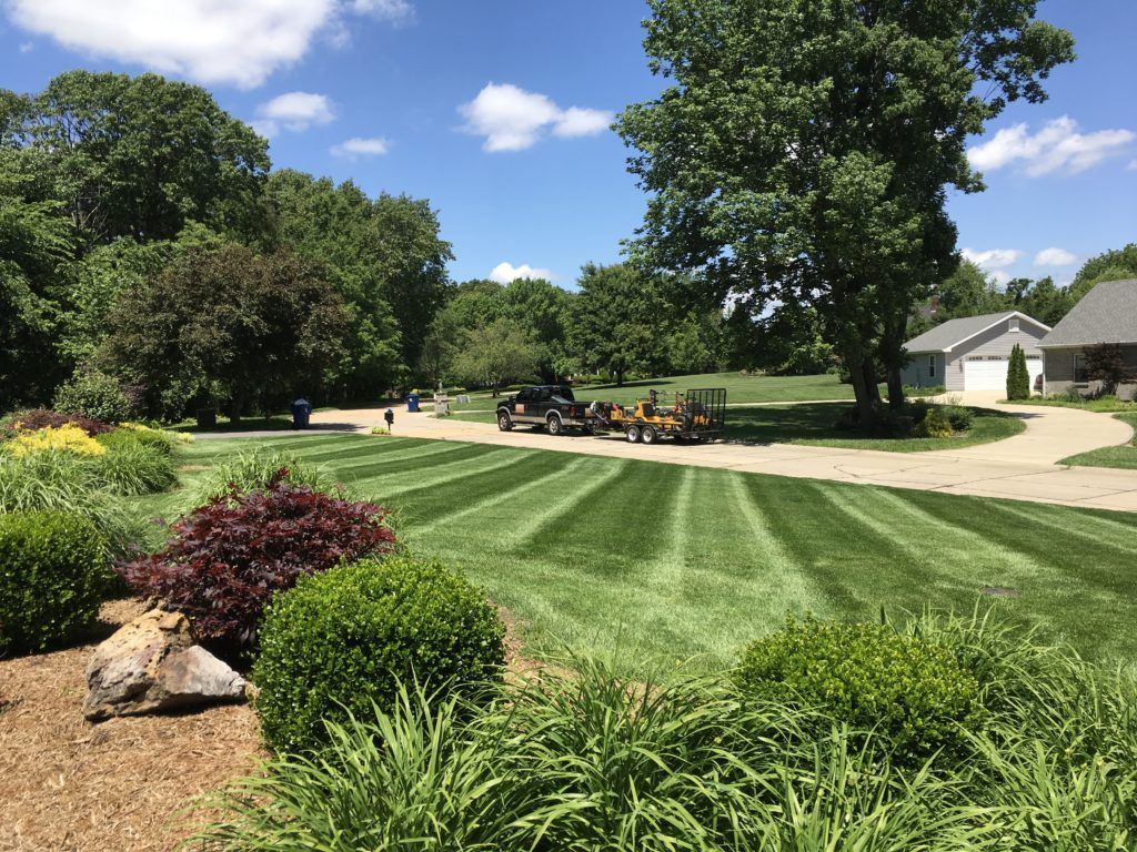 Mowed Lawn