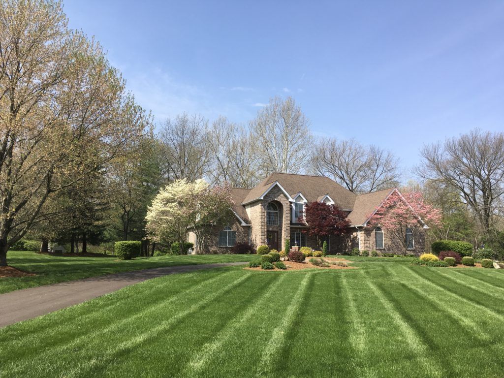 Lawn Care