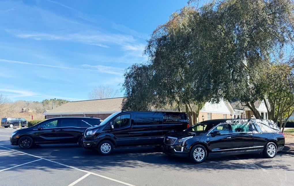 Three black cars parked in a lot beside a large tree under a blue sky.