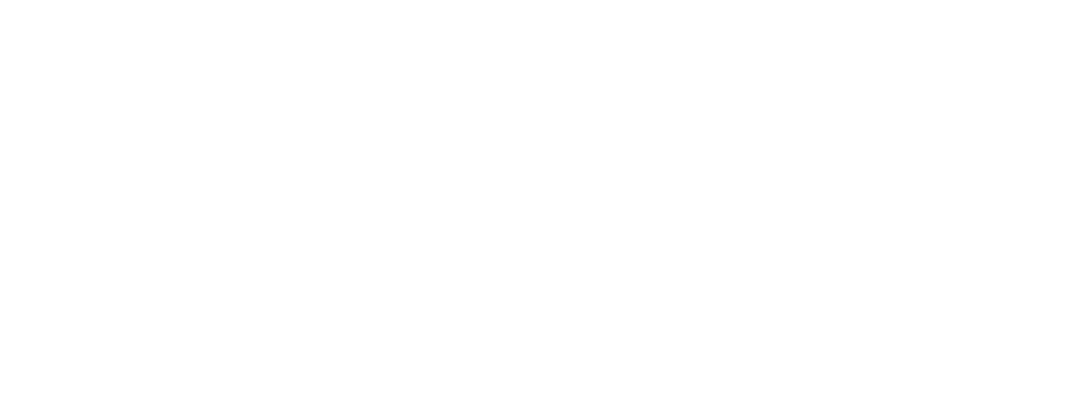 Mostly blank white image with a thin black horizontal line near the bottom
