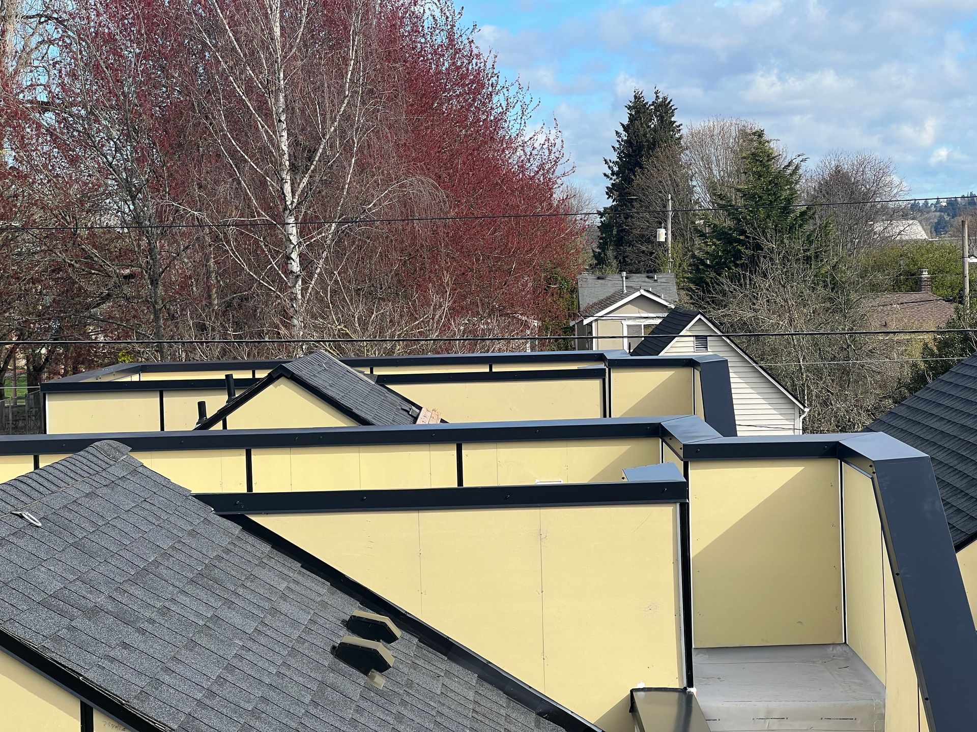 Black coping installed on a residential project.