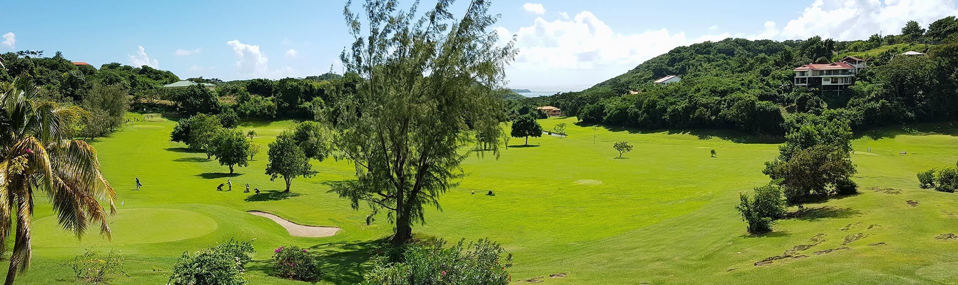 Sunny green parkland with scattered trees, rolling hills, and a blue sky with clouds