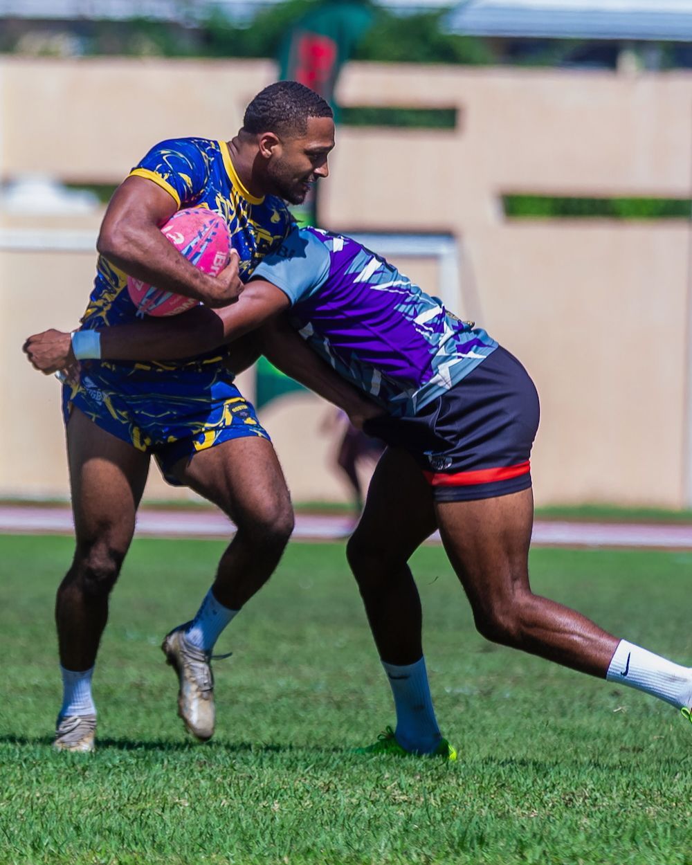 Two rugby players in blue-purple uniforms tackle on a grassy field.