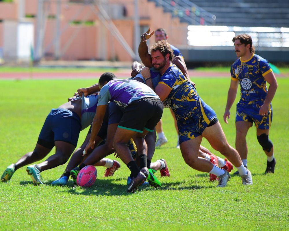 Rugby players in blue and yellow uniforms tackle for the ball on a grassy field.