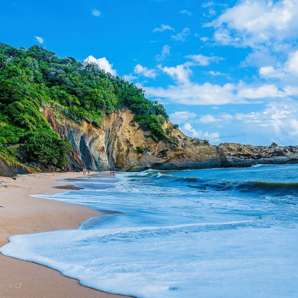 Tropical beach with palm trees, small boats, turquoise water, and a sunny blue sky