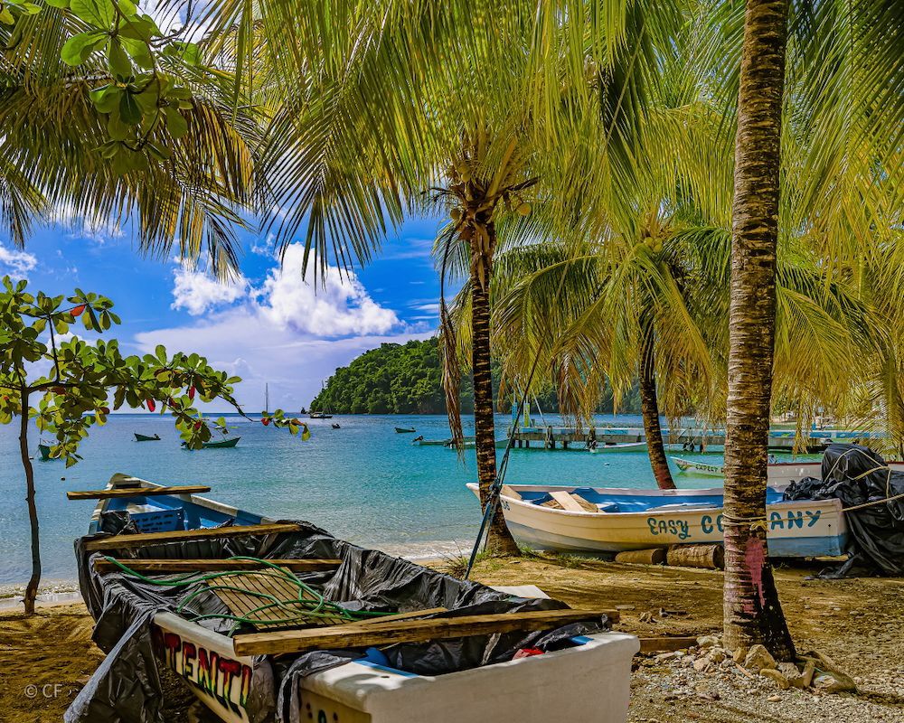 Tropical beach with palm trees, small boats, turquoise water, and a sunny blue sky
