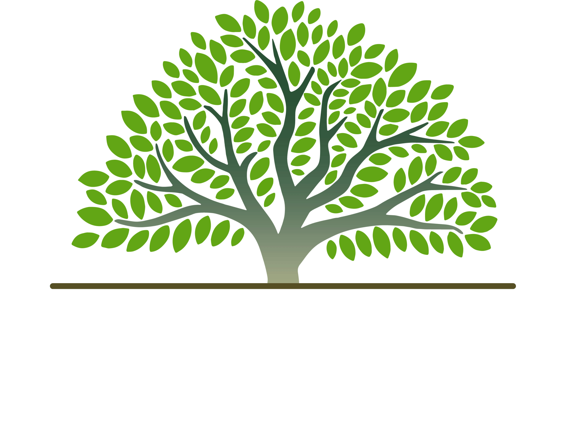 logo-image