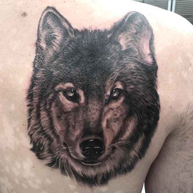 Wolf Tattoo – Gainesville, FL – Bodytech Tattooing & Piercing 