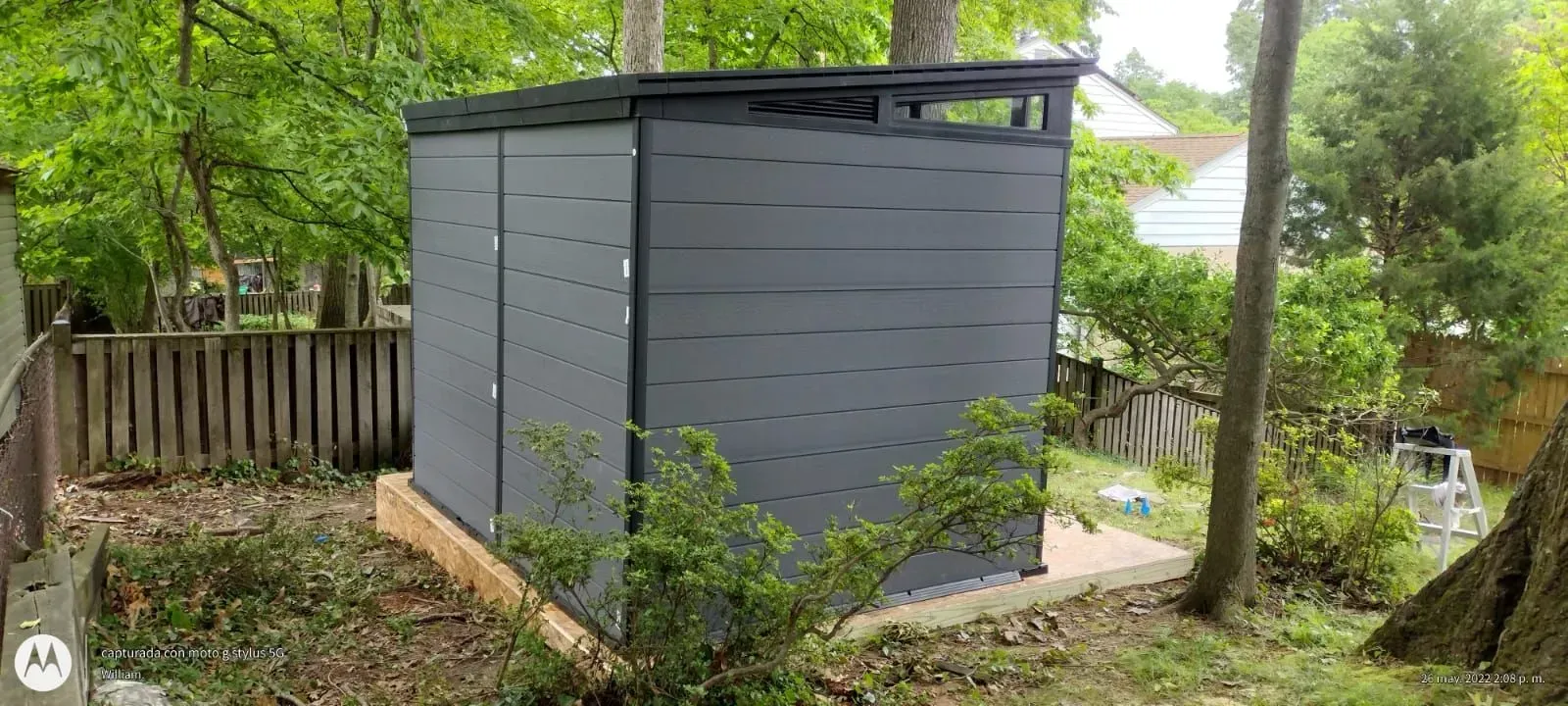 Gray backyard shed beside a wooden fence, surrounded by trees and garden debris