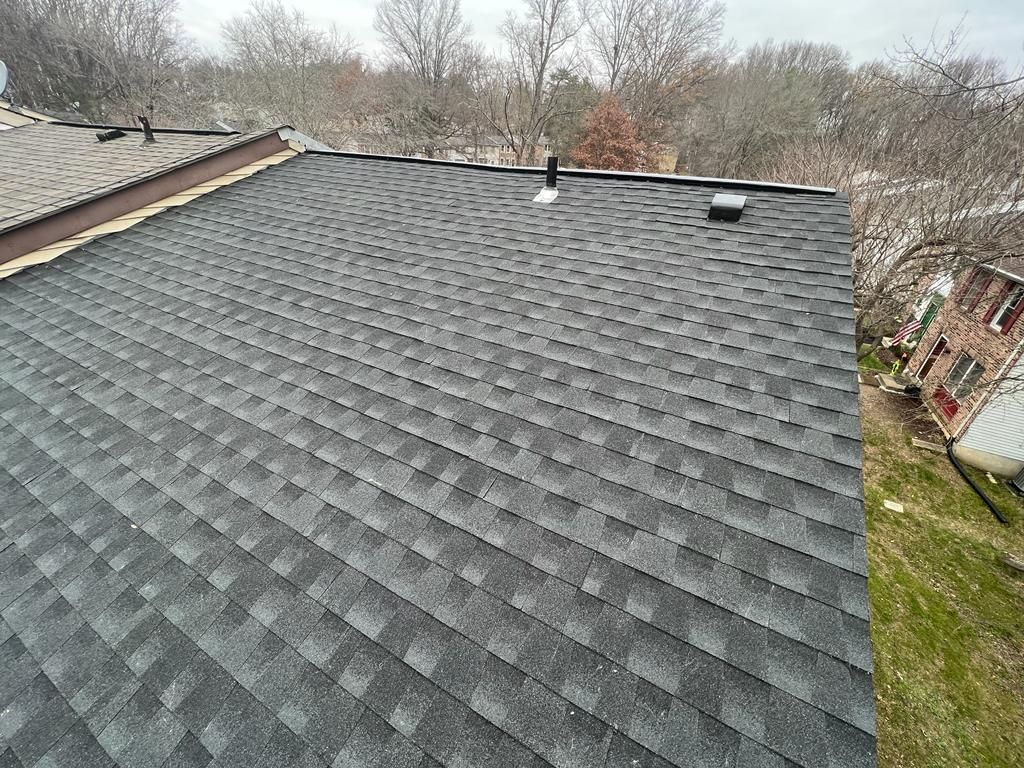 Gray shingled rooftop with vents and surrounding leafless trees on a cloudy day