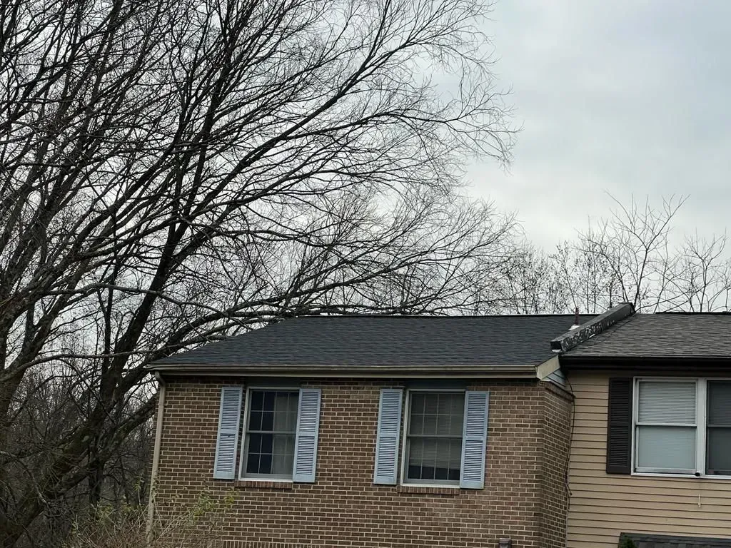 Brick house with gray roof and white shutters under bare tree branches on an overcast day