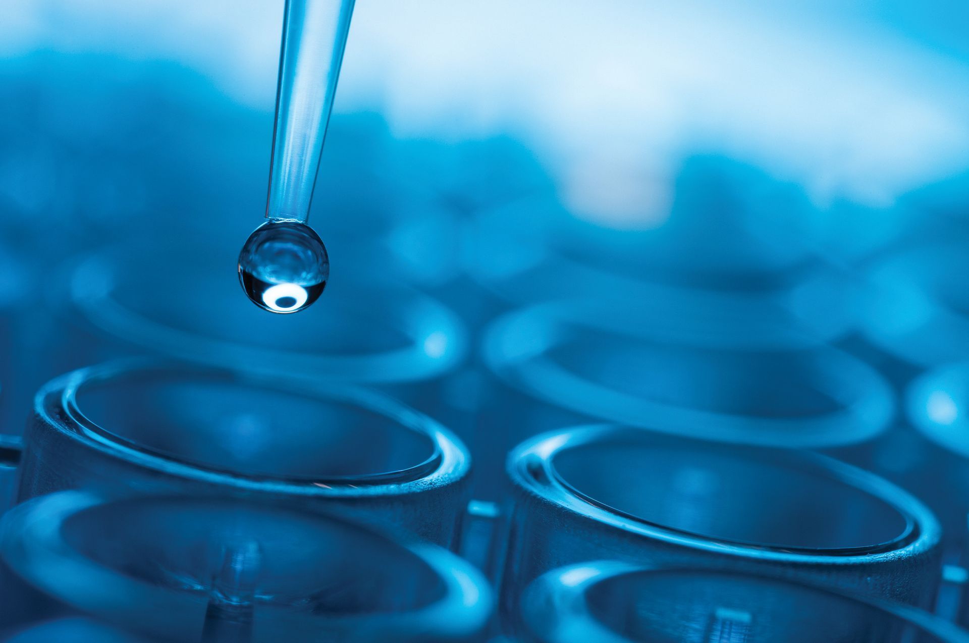 COLLOIDS DE MÉXICO SA DE CV