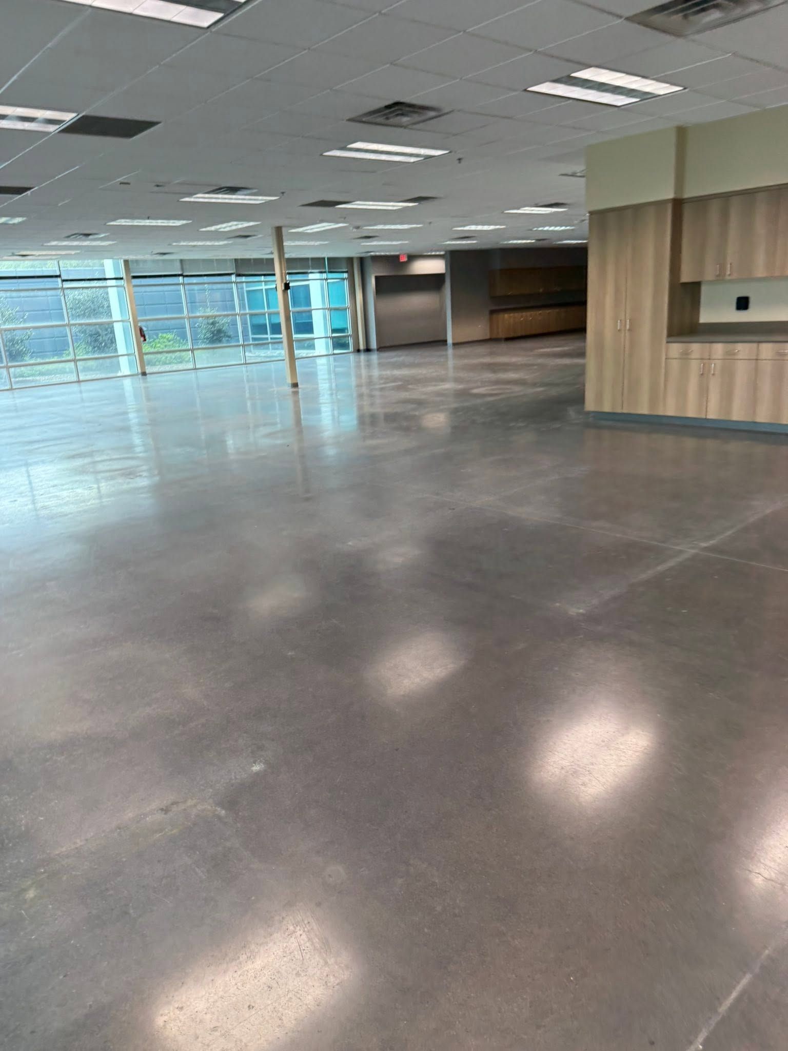 Empty modern office lobby with gray floors, glass walls, and a wood-paneled reception area
