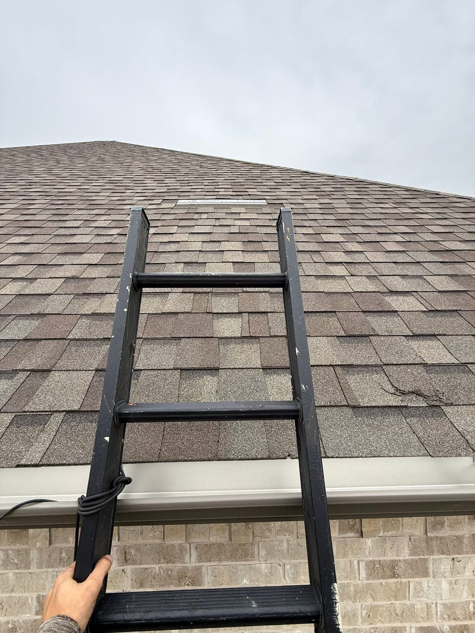 Person holding a black ladder against a shingled roof under a cloudy sky