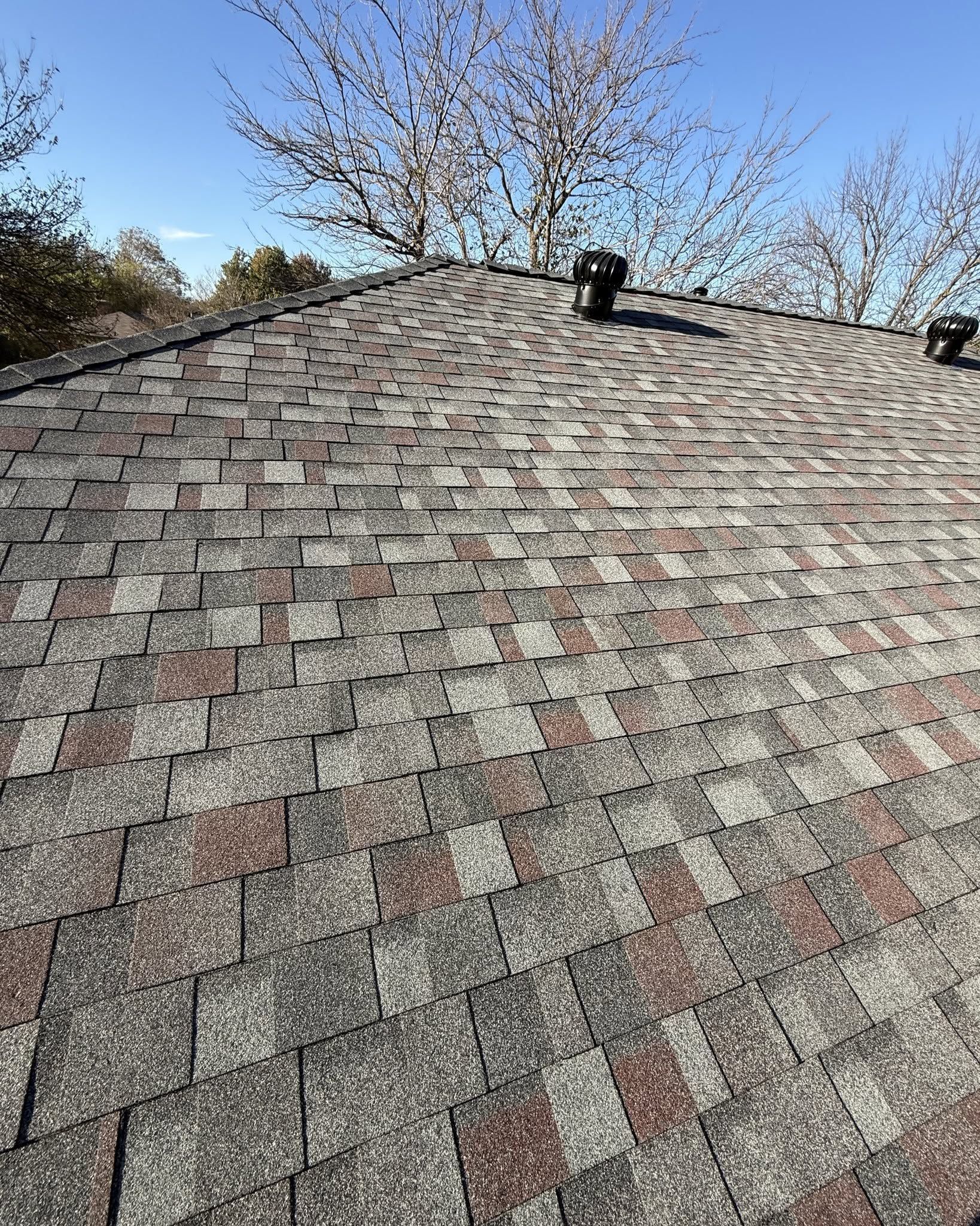Weathered shingled roof under a clear blue sky with trees visible above the ridge