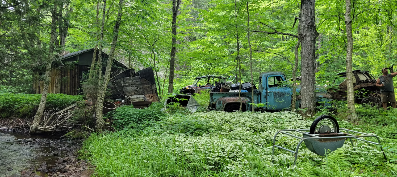 Old green truck and shed in a wooded campsite with a fire pit in the foreground