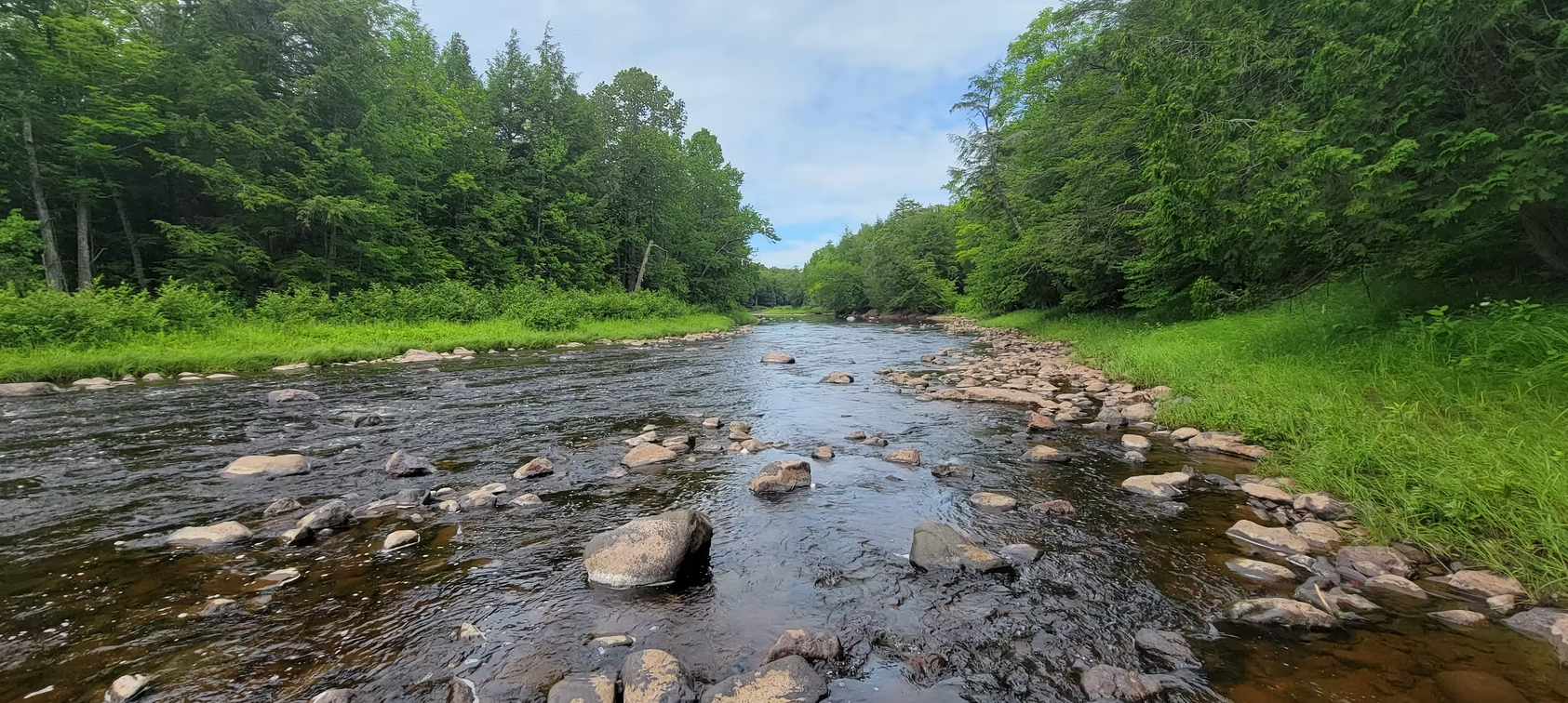 Shallow rocky river flowing through a green forest under a partly cloudy sky