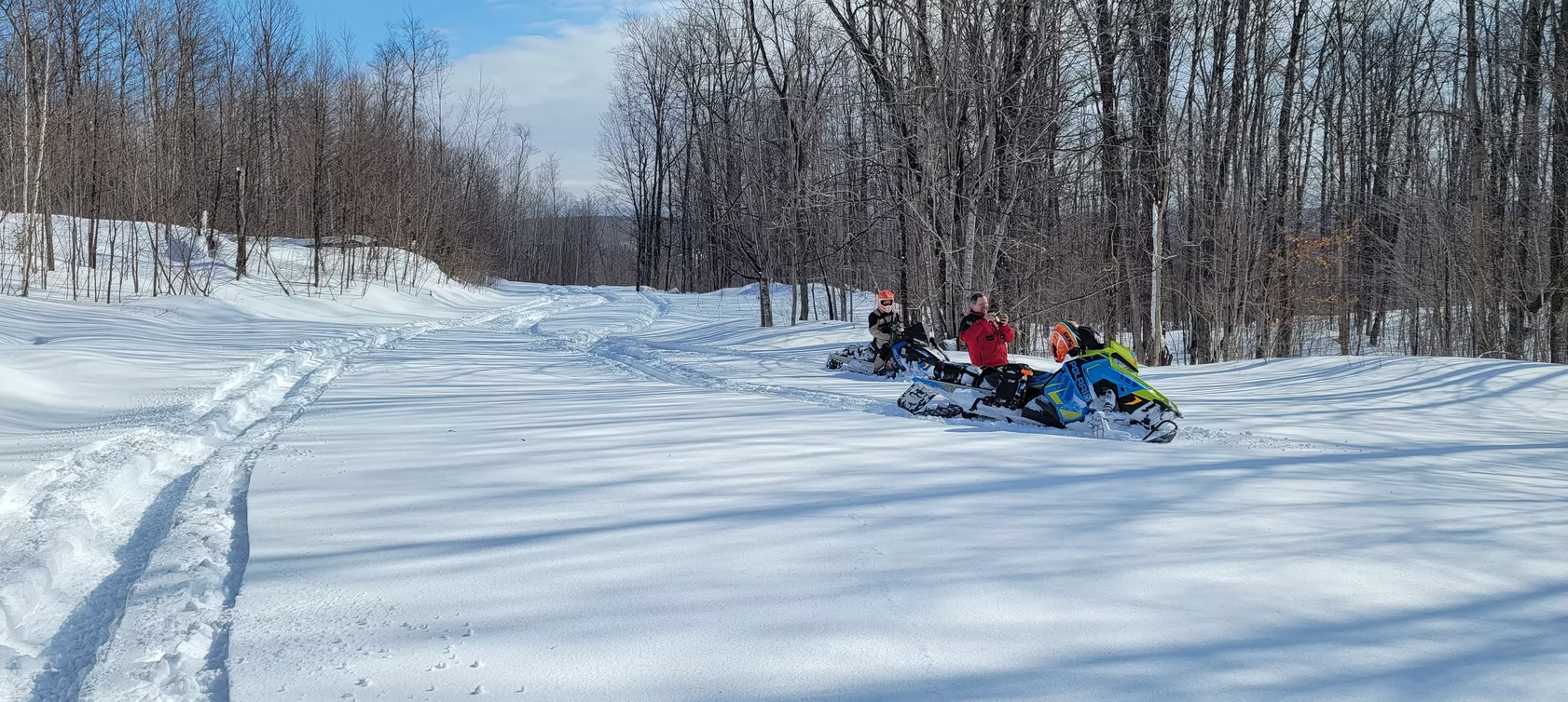 Group sledding down a snowy trail in a winter forest