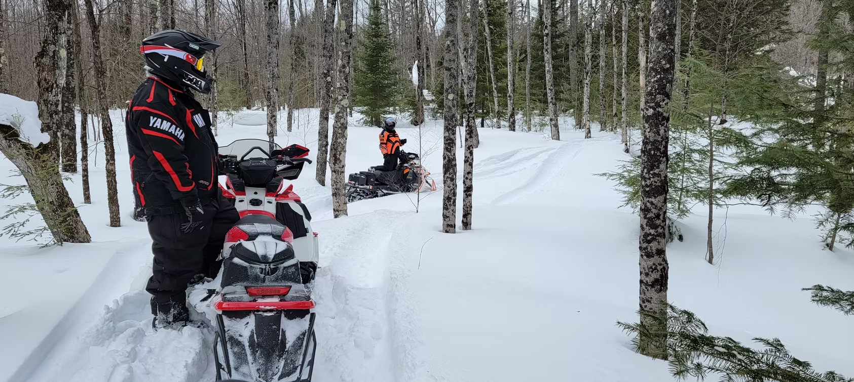 Snowmobiles lined up on a snowy forest trail, with riders in helmets standing among bare trees.