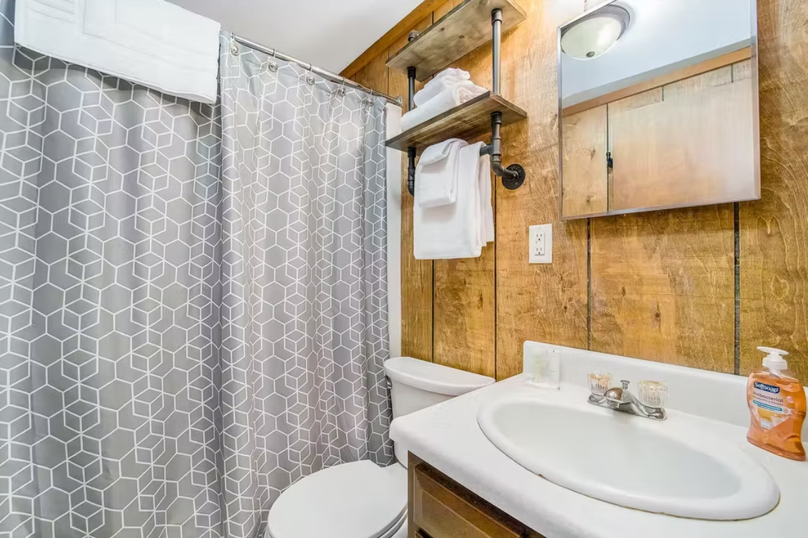 Small bathroom with shower curtain, sink, and wood-paneled walls