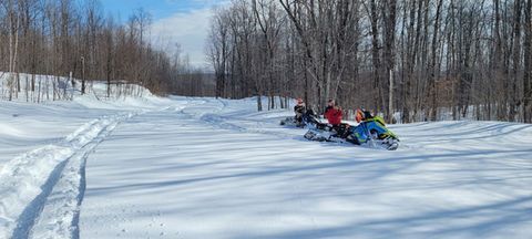Snowmobiles lined up on a snowy trail in a wooded winter landscape