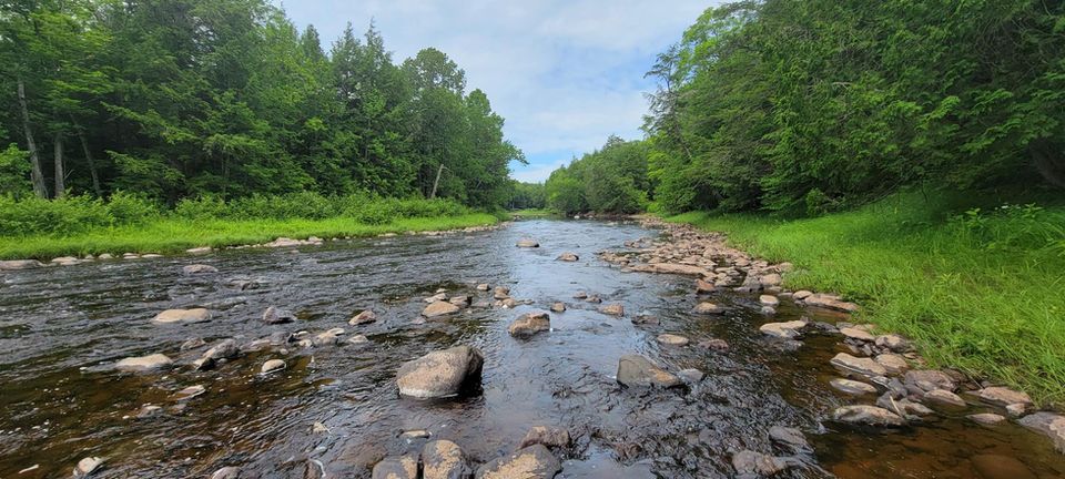 Shallow rocky river flowing through a lush green forest under a cloudy sky